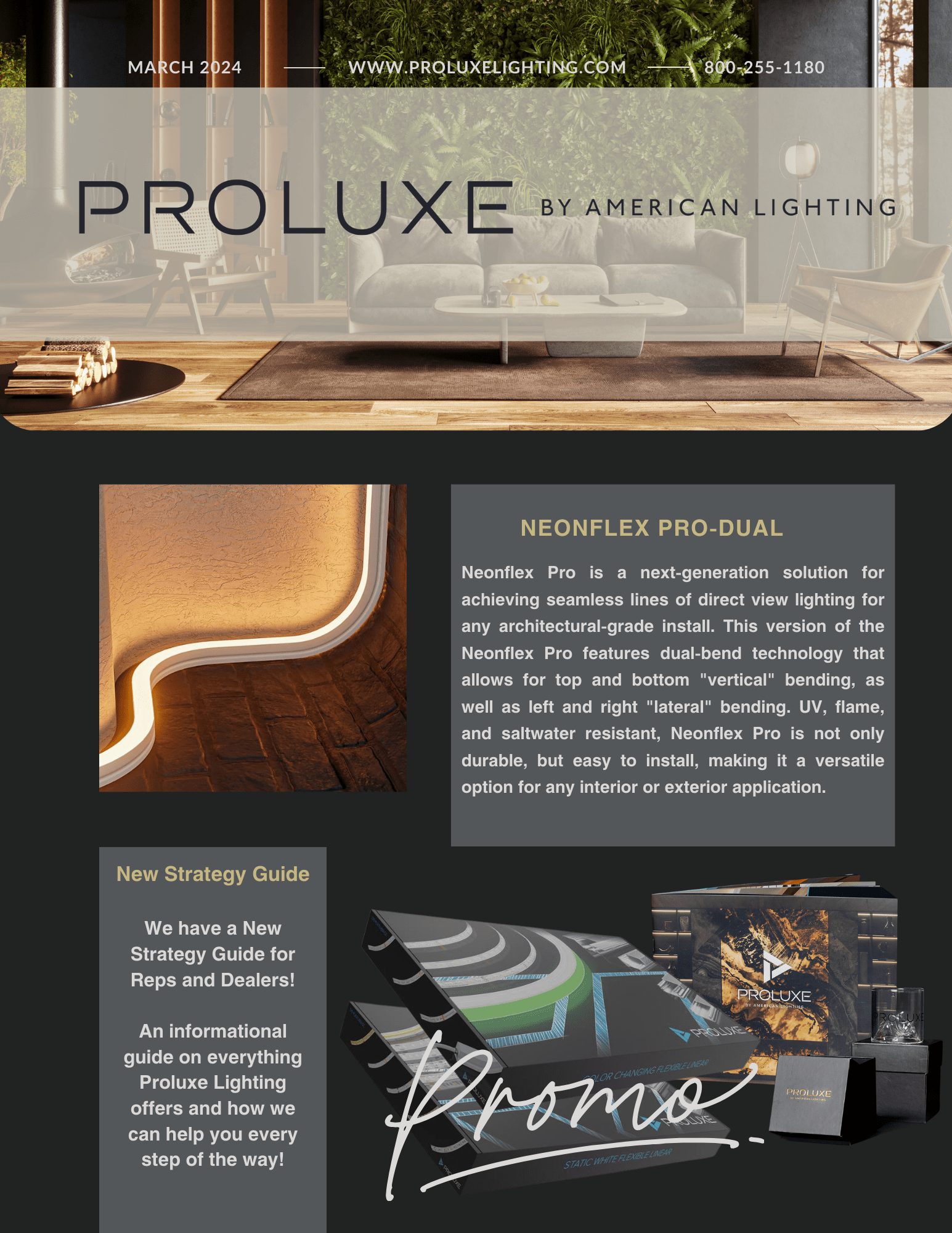 D Tools Proluxe Newsletter (1)