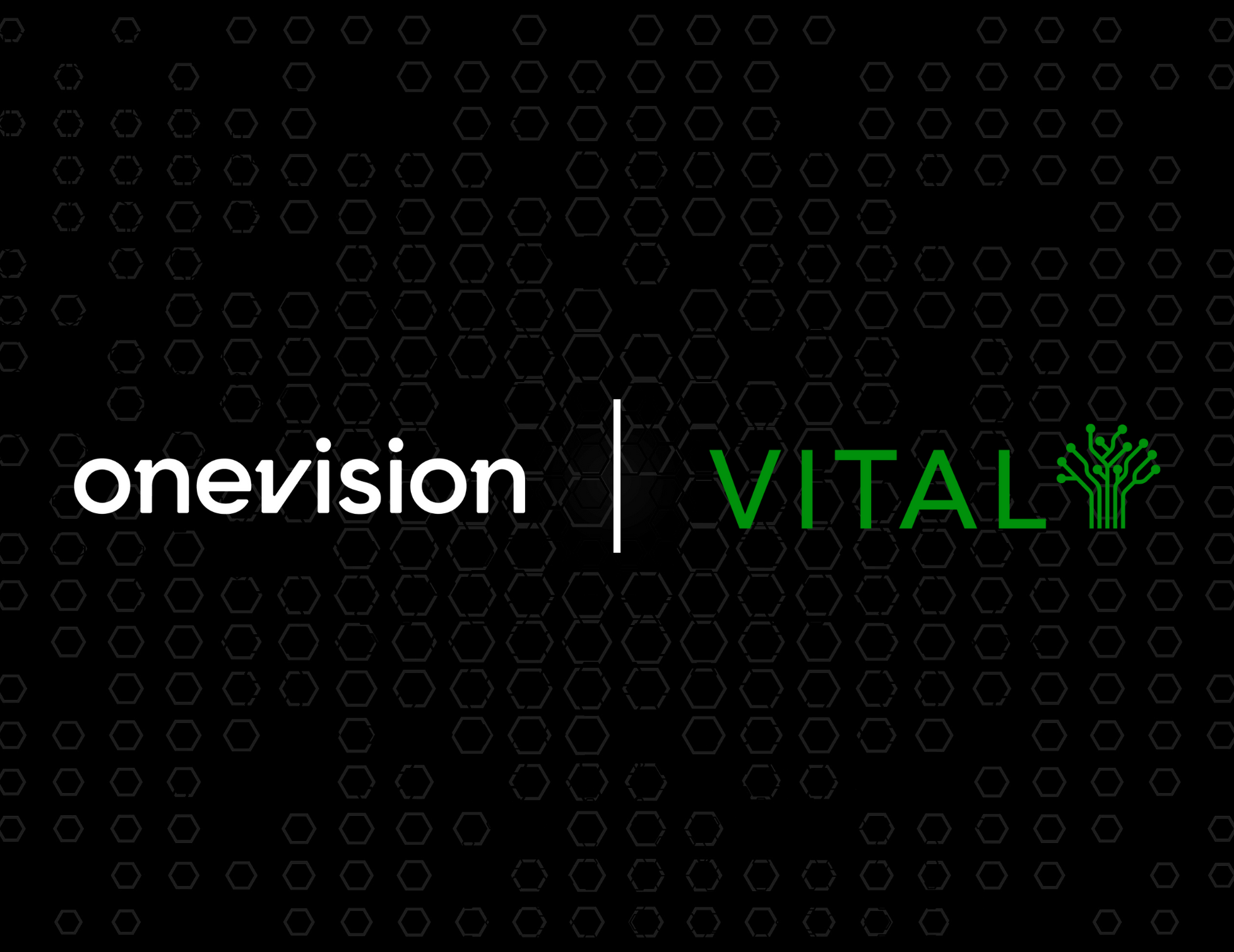 One Vision - VITAL