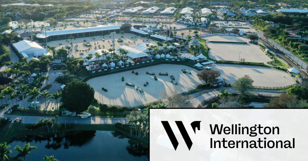 Wellington-International-1200x630-1 (1)